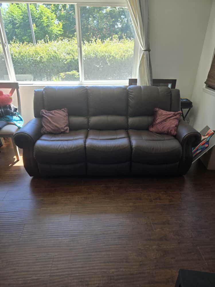 sofa manual recliner.