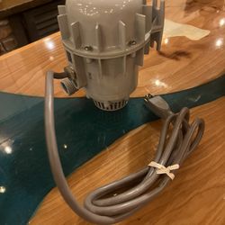 115 V Dayton Submersible Pump 