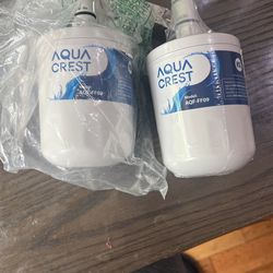 Refrigerator Water Filter