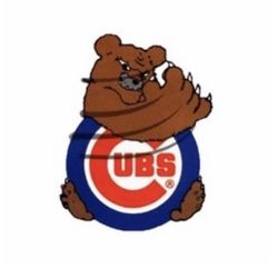 Chicago Cubs Tickets - Section 208 / Row 1 / Seats 3-4