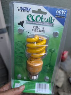 Bug lights in San Fernando 91340