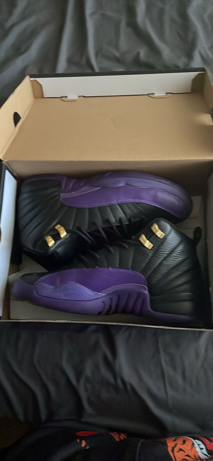 Jordan 12s