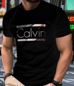 Calvin Men's T-Shirts  L