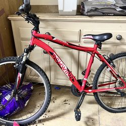 bike