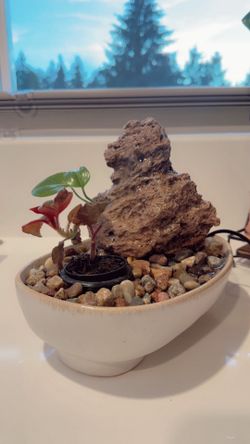 Water fountain