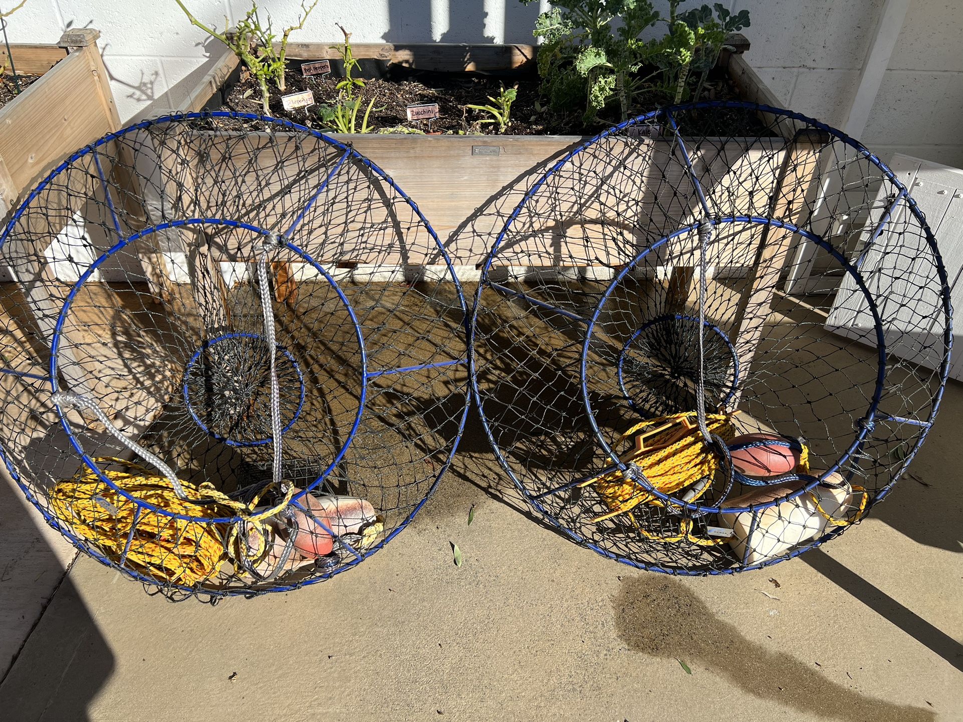 commercial hoop net fishing Ballyhoo Bait - Collapsible Net hoop net for catfish consists of four 20 in New Hoop Net and Trap