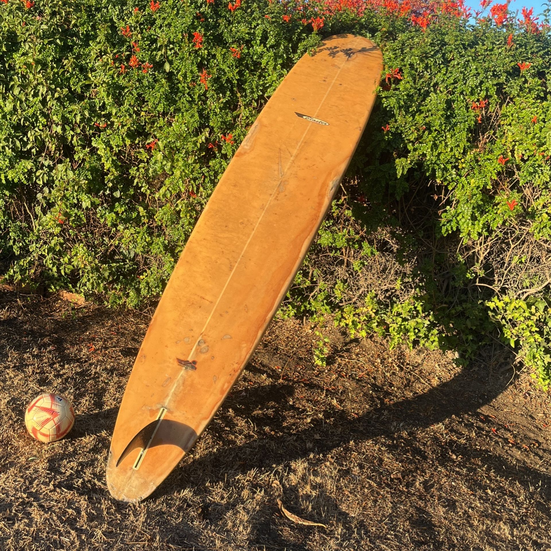 Blaster Surfboard