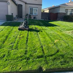 Lawn Maintenance