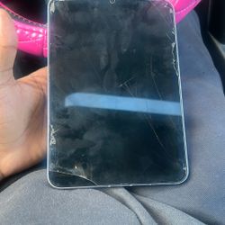 iPad 