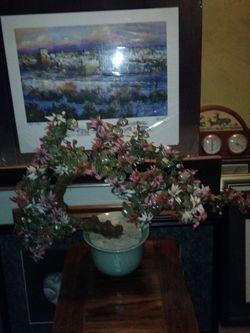 MCM Large Chinese Jade Bonsai Tree $150