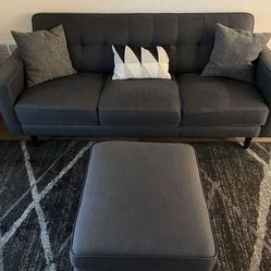 Grey Couch 