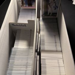 2025/2026 Rookie Cards