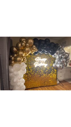 Balloon Shimmer Wall And Car Theme!
