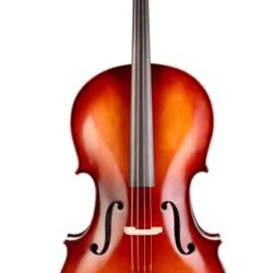 Like New GORGEOUS Cello 