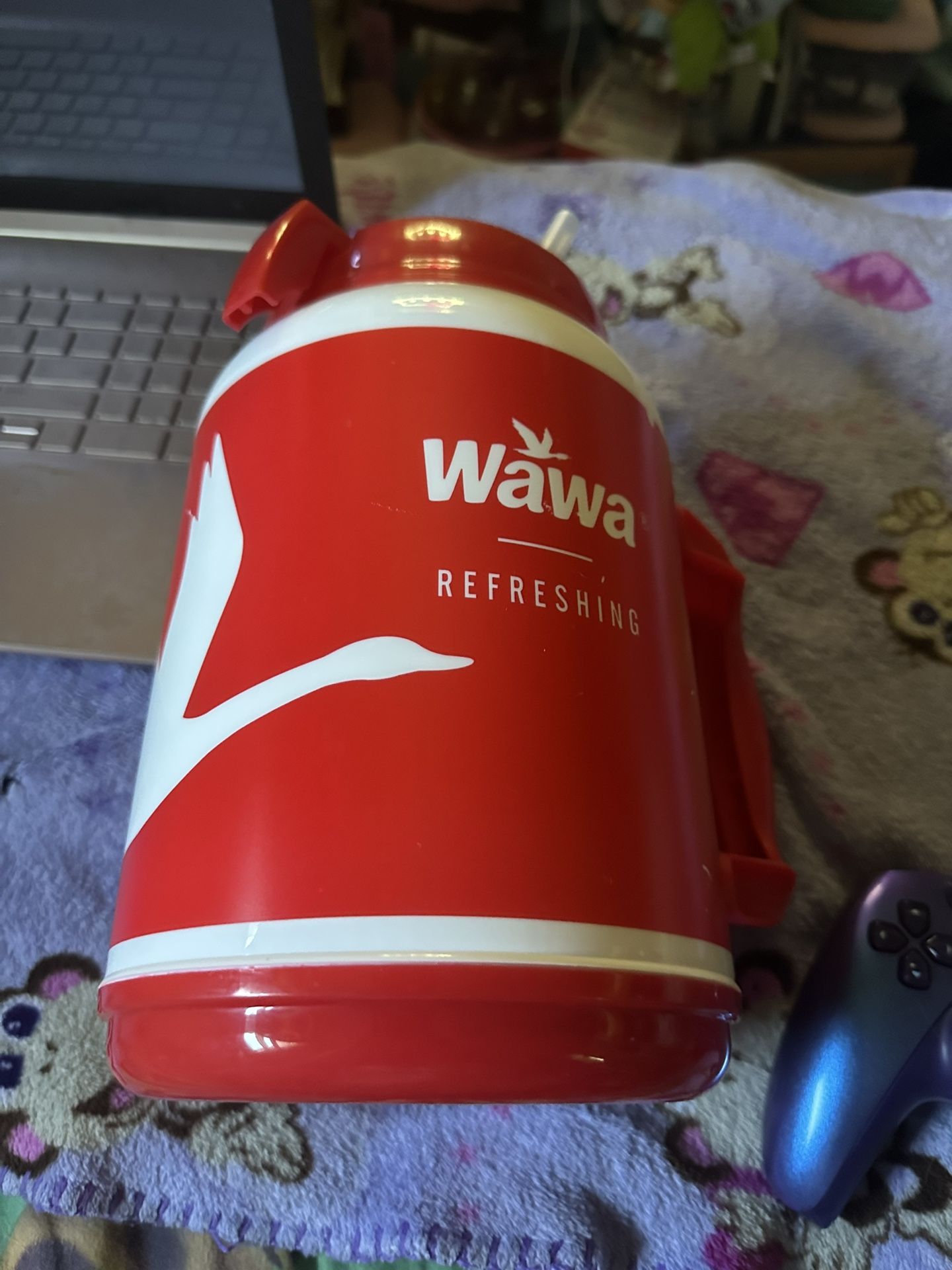 Wawa Jug 