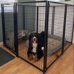 Dog Kennel 