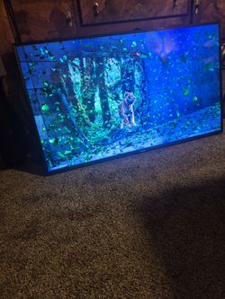 Hisense, 55inch Smart TV, good Condition, $200.