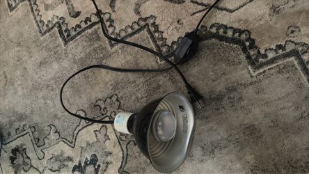 Reptile heat lamp