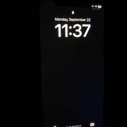 Purple iphone 11