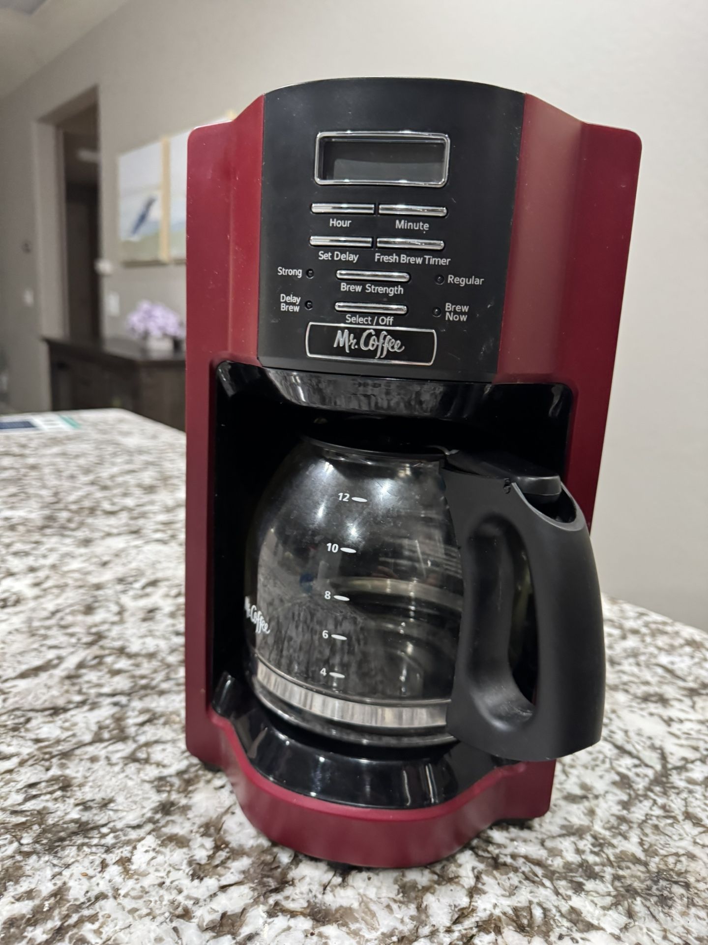 Mr. Coffee 12 Cup Coffee Makes