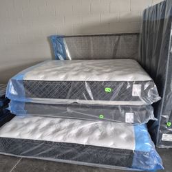 Queens/kings NEW In Factory Plastic