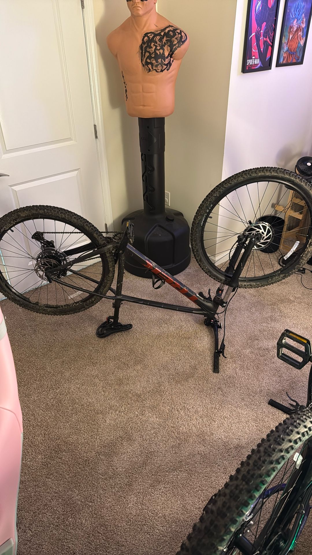Trek Marlin 5 3rd Gen (large)