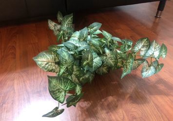 Fake plant