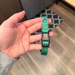 Green Puppy Collar