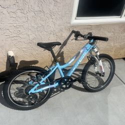 Youth Schwinn Cimarron Bike 20”