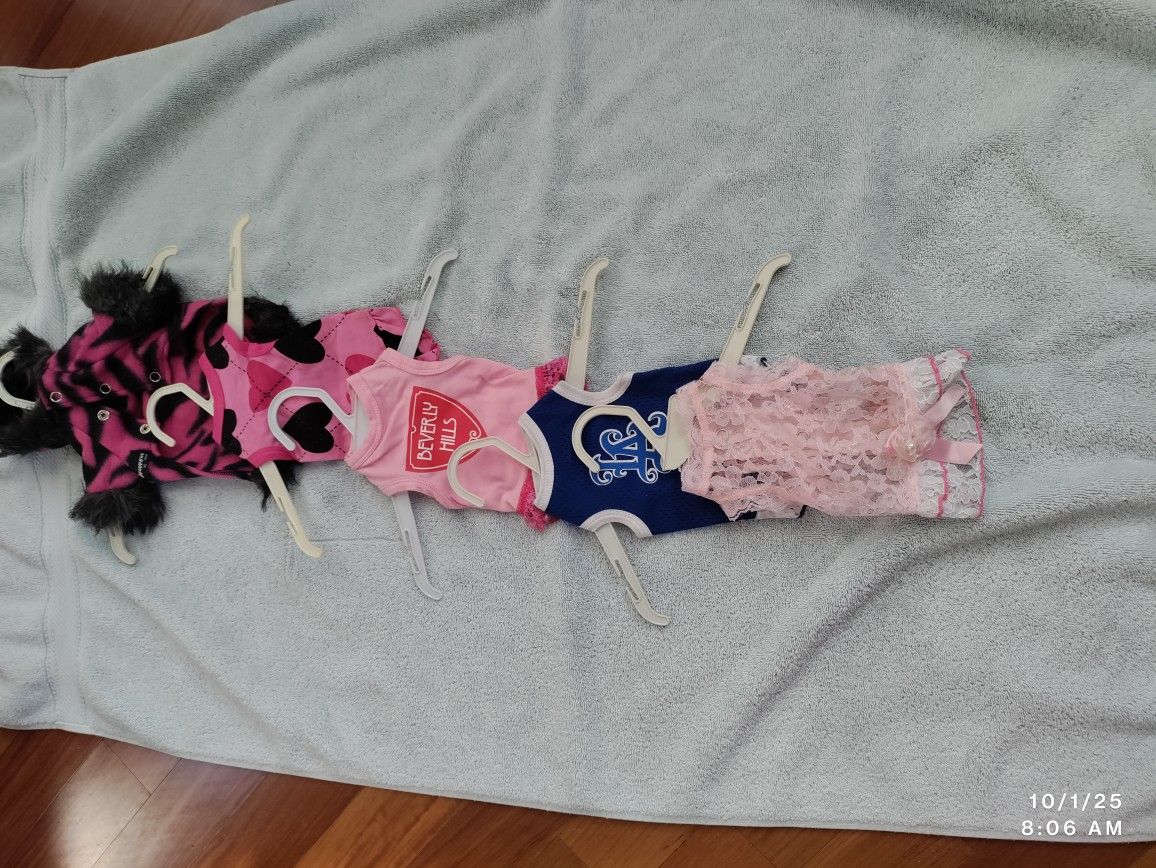 Dog Clothing Or New Five Pieces Only 25