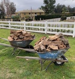 Eucalyptus Firewood