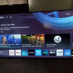 65 Inch Insignia TV 