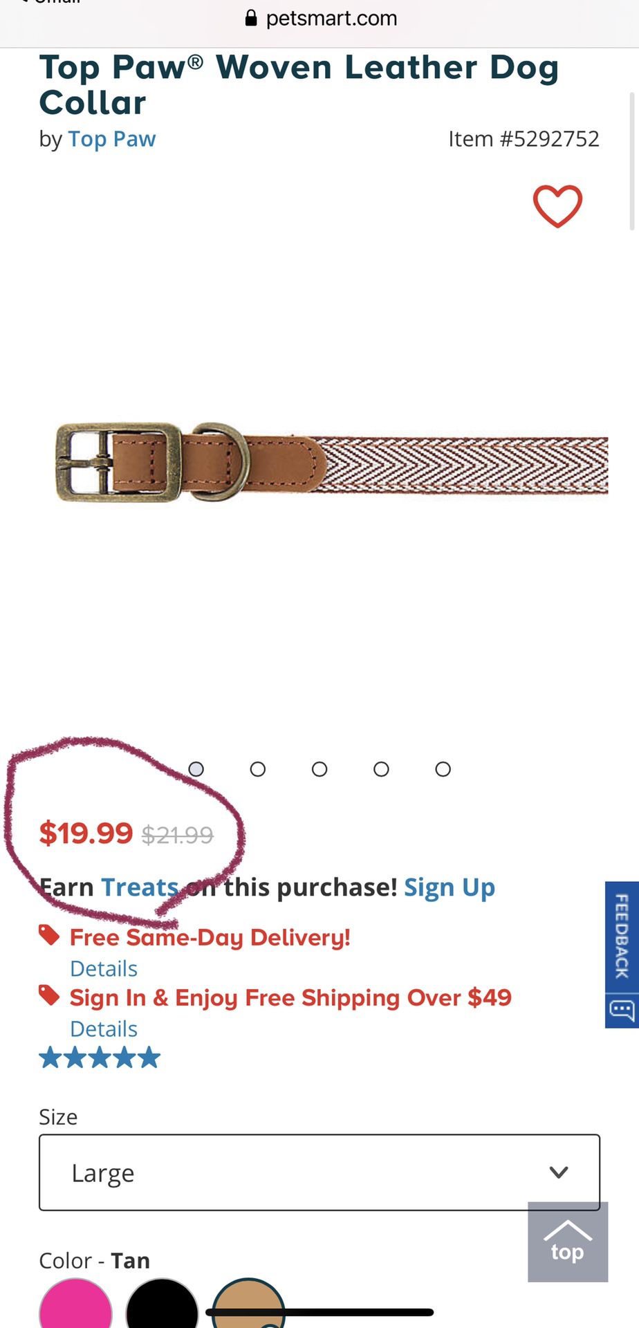 (New) Top Paw Leather Dog Collar, Large - 17"-21"
