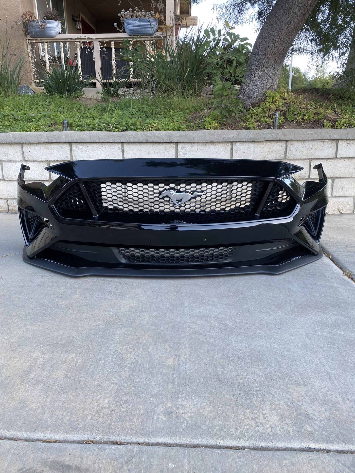 Mustang Bumper