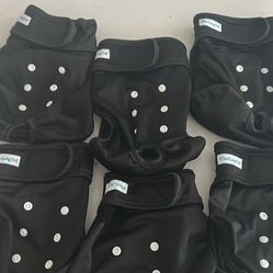 Paw Legend Female Doggie Training Diapers