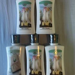 Goose Creek Body Lotion 4 Pina Colada 1 Perfect Day