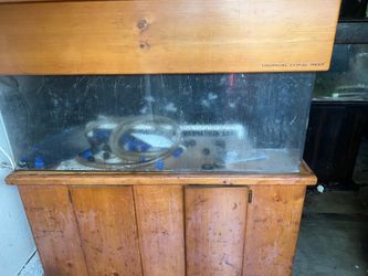 Saltwater fish tank