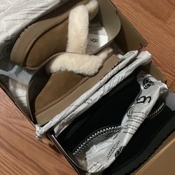 UGGS 