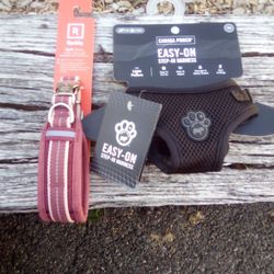 Small Dog Collar And Harness