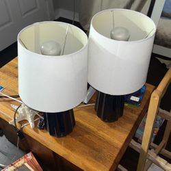 2 Table Lamps 