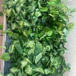10 Artificial Plants.   5 Different Types 