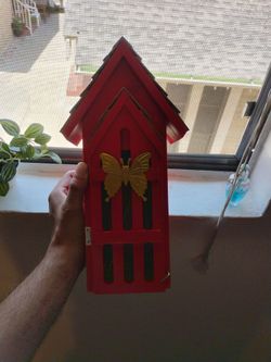 Cedar 🎄 Alpha - Butterfly 🦋 House