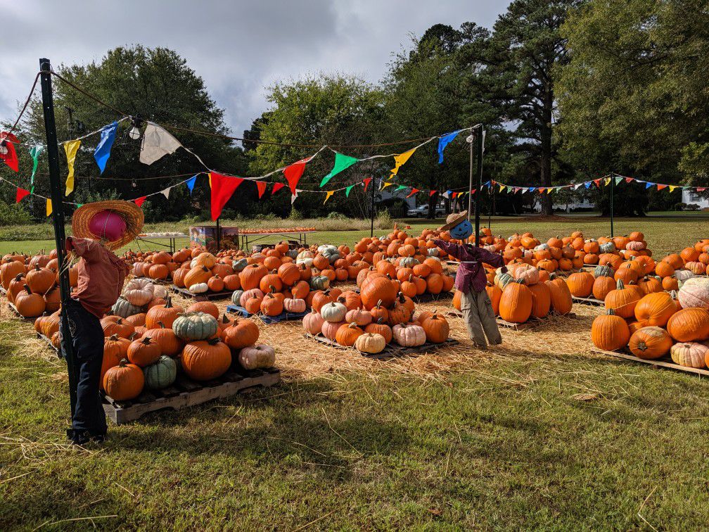 PUMPKINS For Sale- St Andrew Lutheran Church