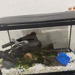 10 Gallon Fishtank Ready To Go 