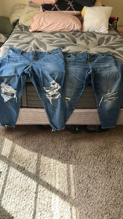 American Eagle goal plus size jeans