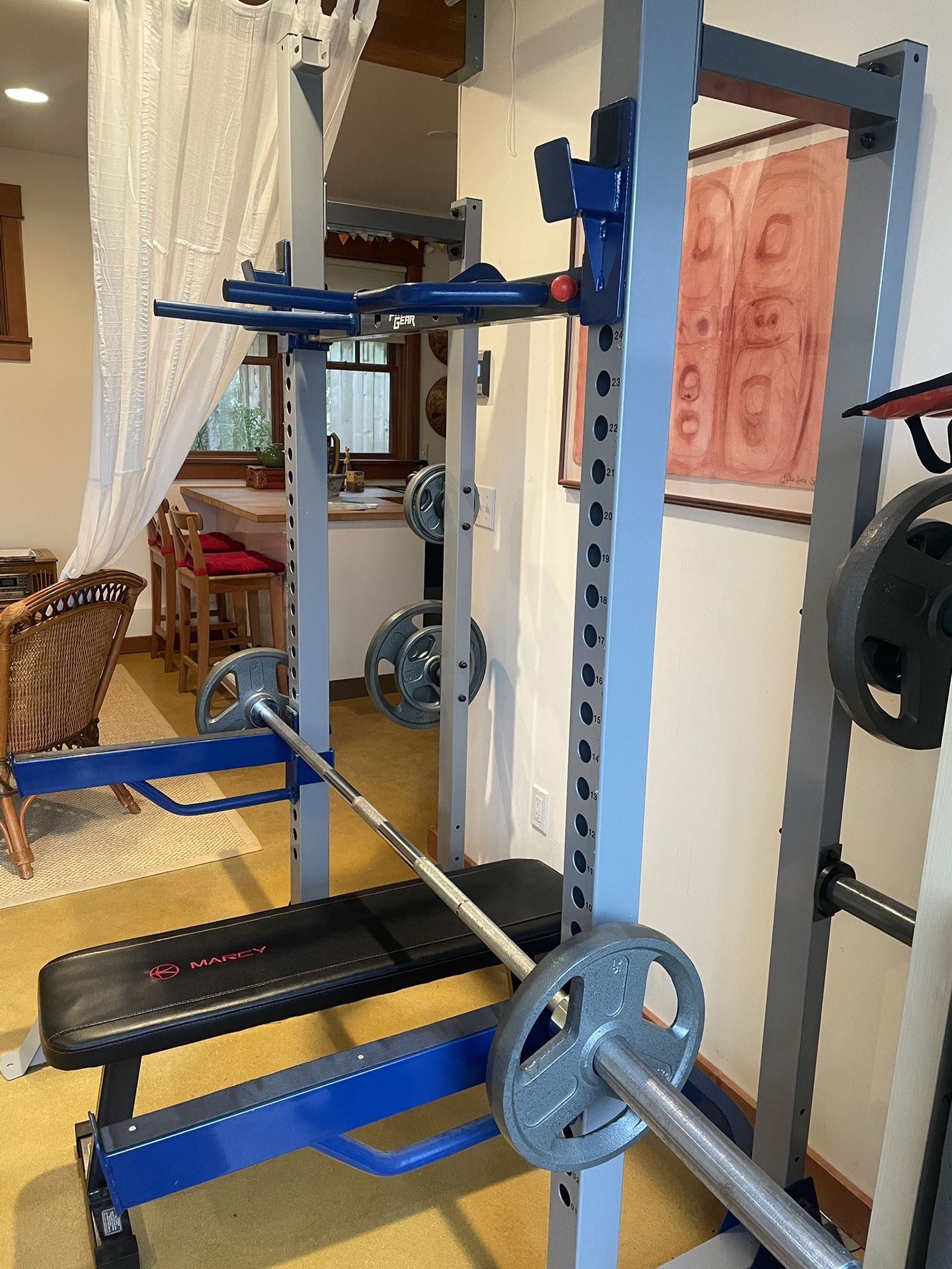 Fitness Gear Pro HR 600 Half Squat Rack, Olympic barbell with 215 LBS of mixed plates & bench