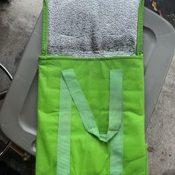 Temperature Safe Bag