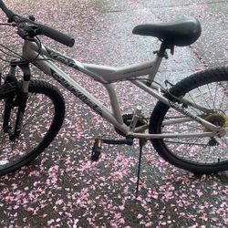 Kent Shockwave Mountain