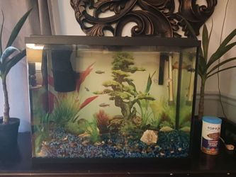 Aquarium
