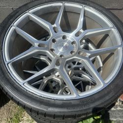 24 Inch Giovanna Haleb